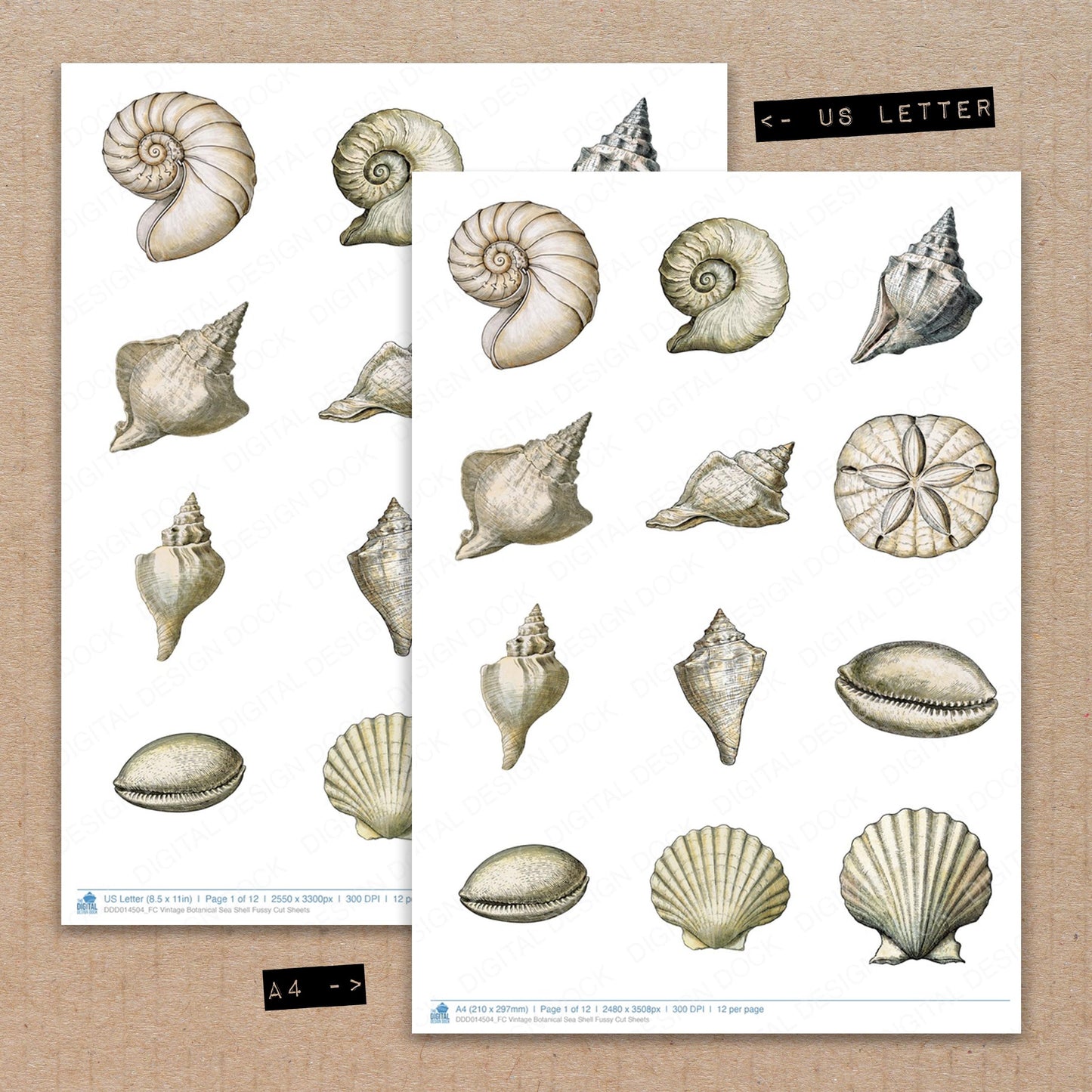 Vintage Botanical Sea Shell Fussy Cut Sheets (DDD014504)