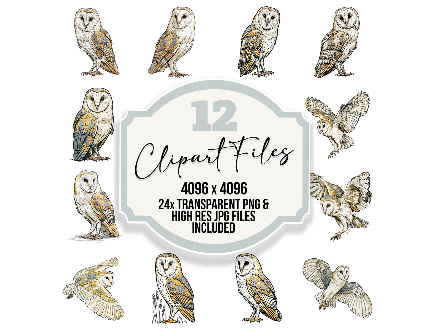 Stylised Barn Owl Clipart Set (DDD014526)