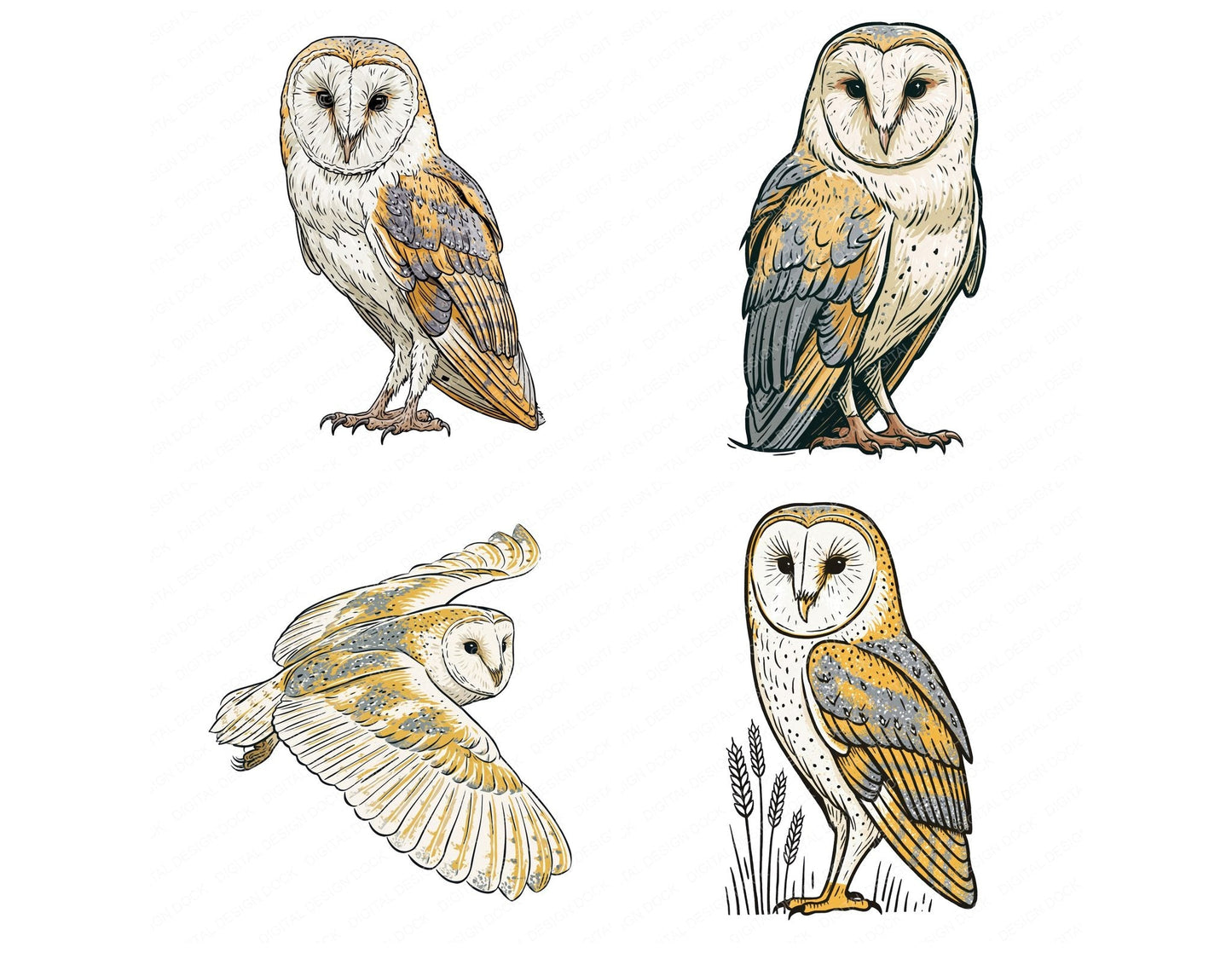 Stylised Barn Owl Clipart Set (DDD014526)