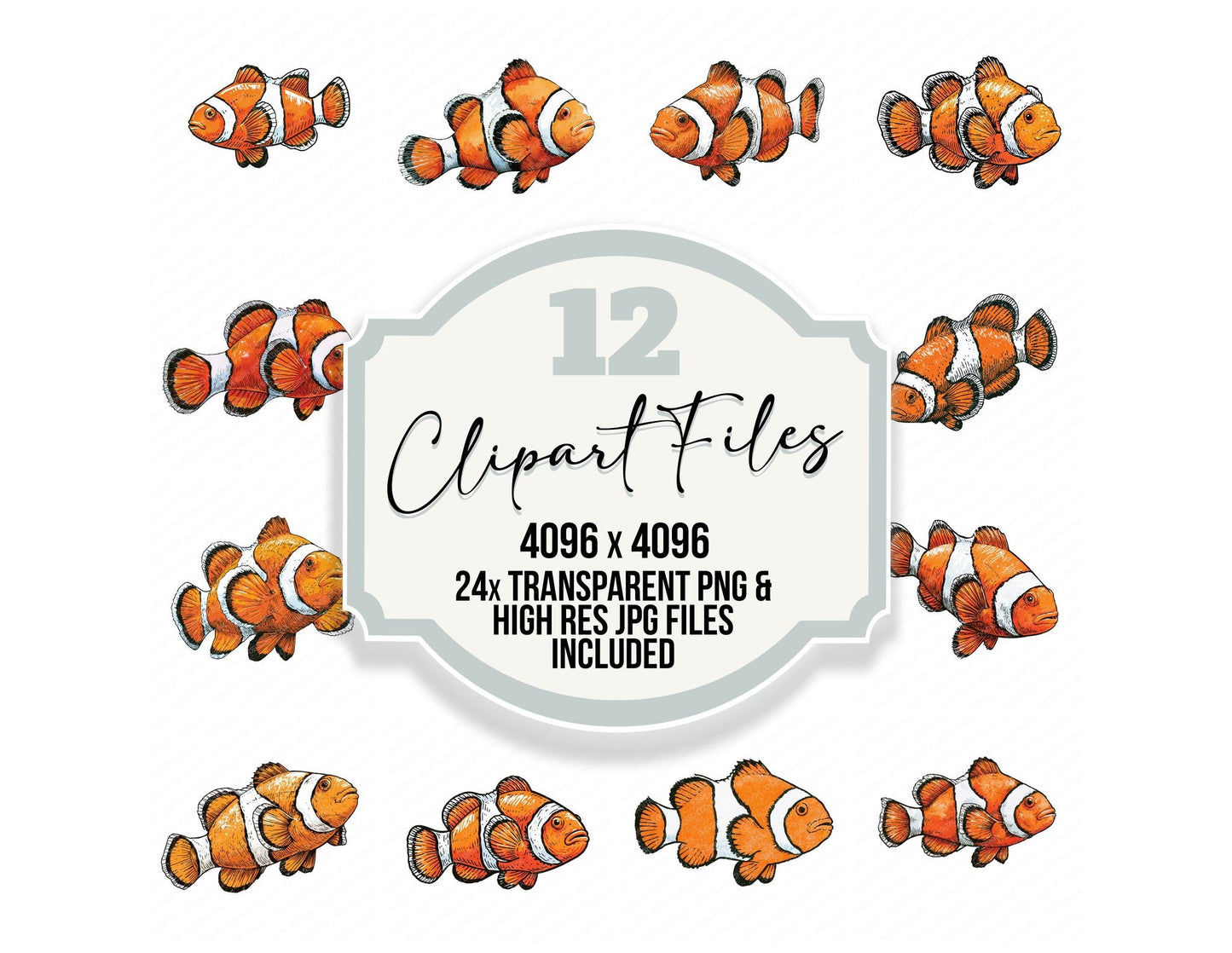 Stylised Clownfish Illustration Clipart Set (DDD014528)