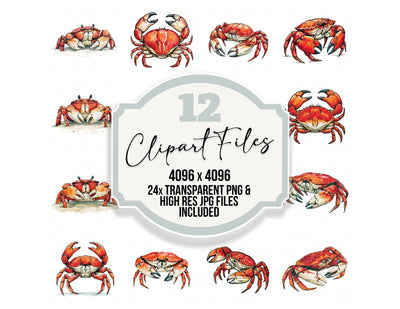 Stylised Crab Clipart Set (DDD014529)