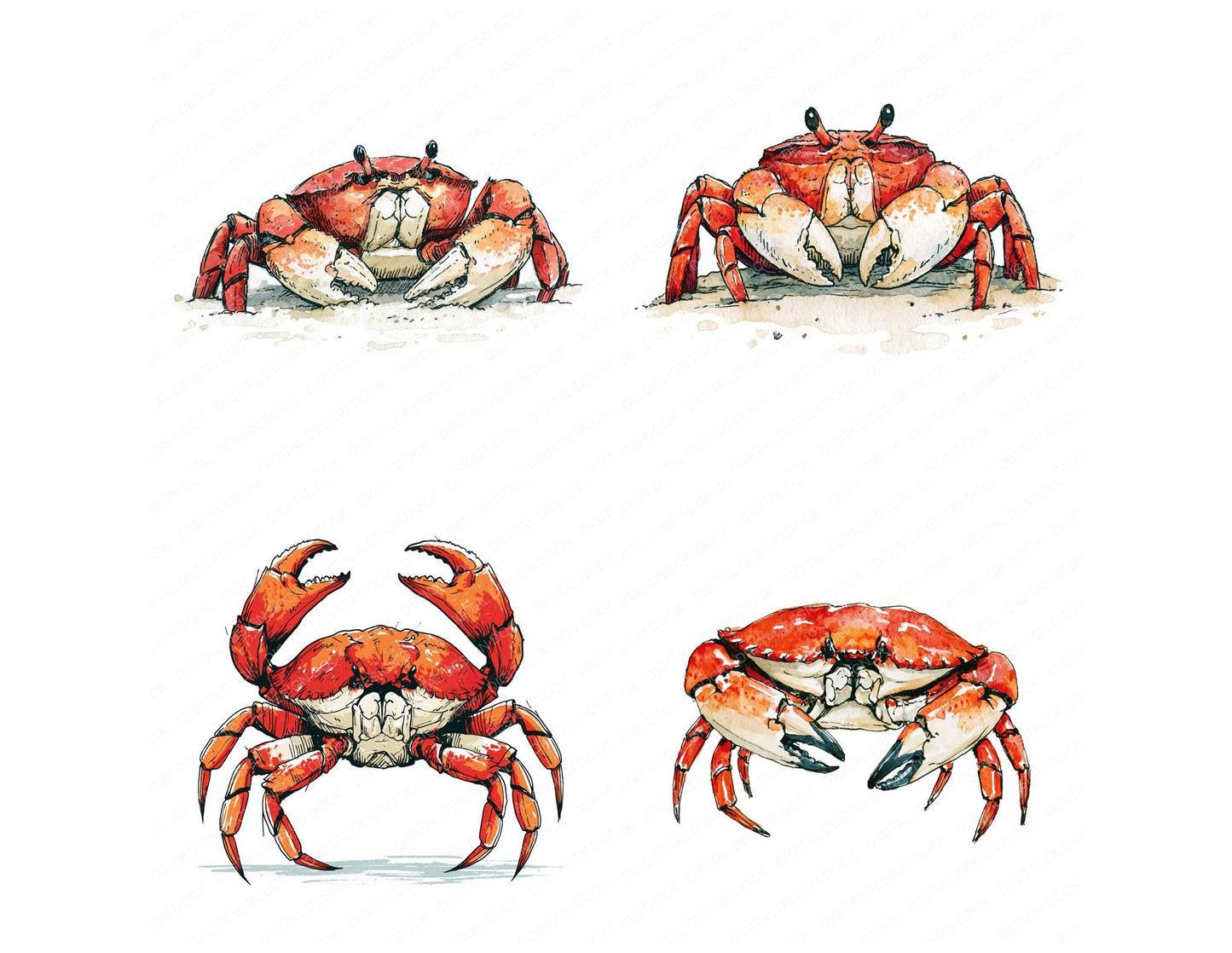 Stylised Crab Clipart Set (DDD014529)