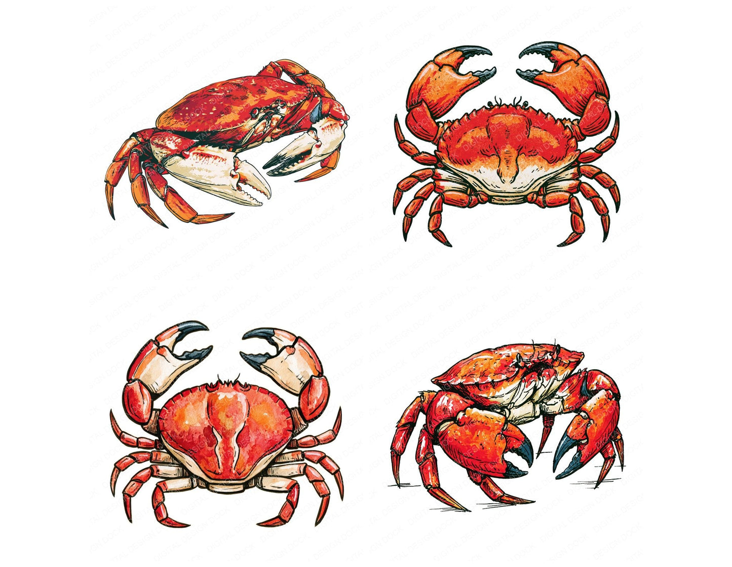 Stylised Crab Clipart Set (DDD014529)