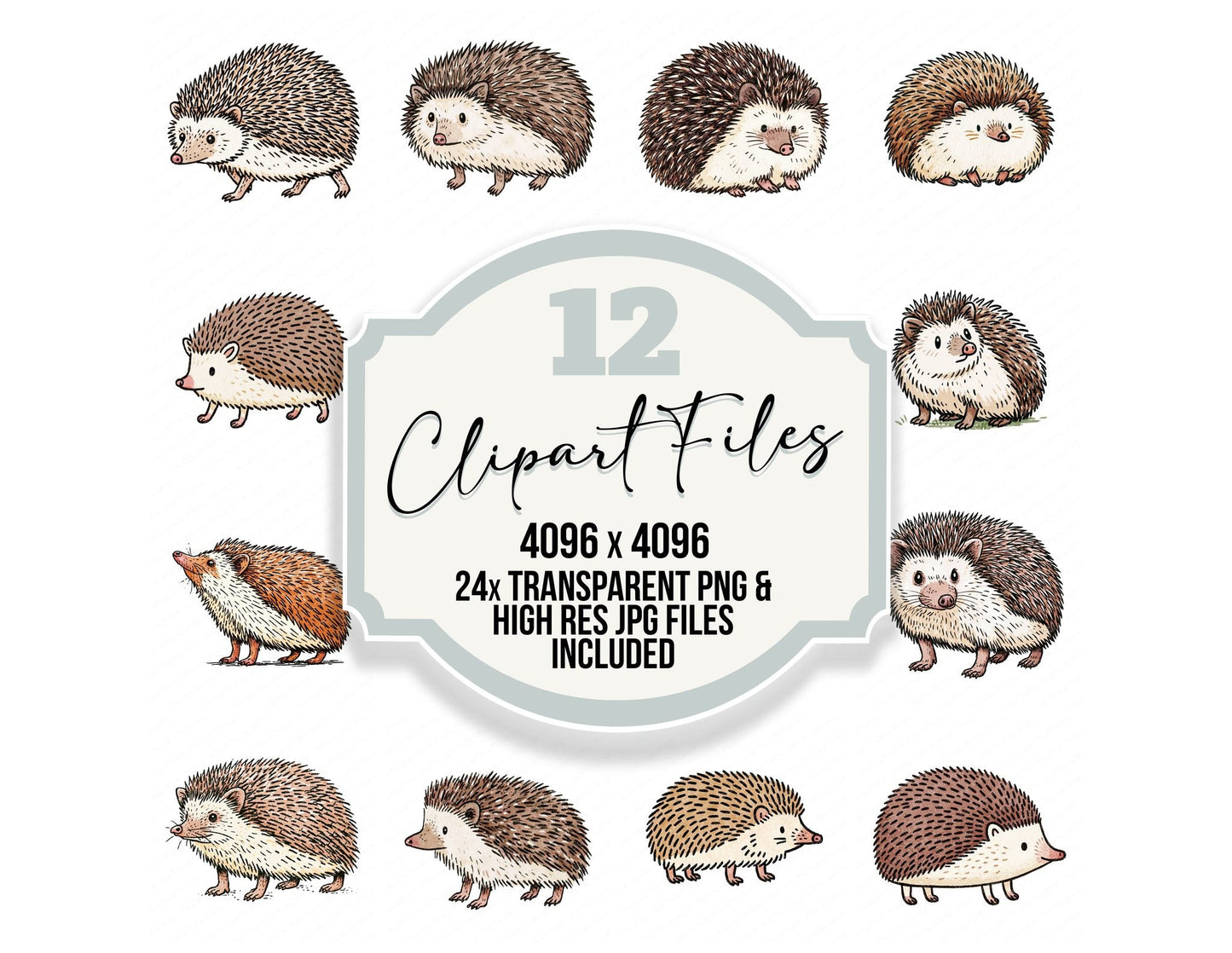 Stylised European Hedgehog Clipart Set (DDD014530)