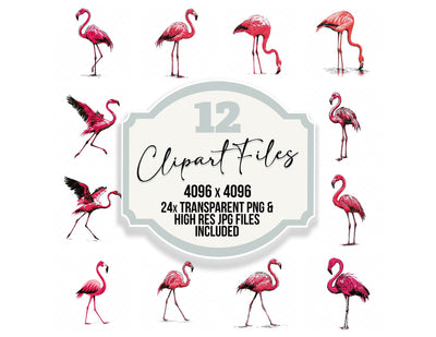 Stylised Flamingo Clipart Set (DDD014531)