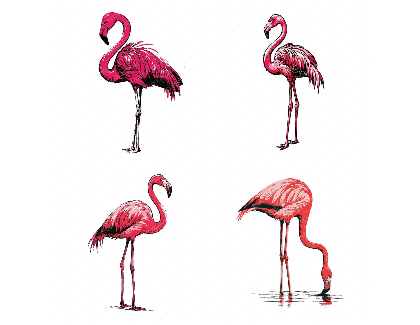 Stylised Flamingo Clipart Set (DDD014531)
