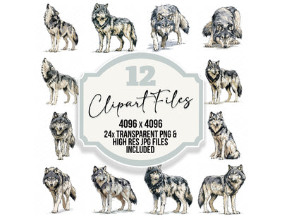 Stylised Grey Wolf Clipart Set (DDD014532)