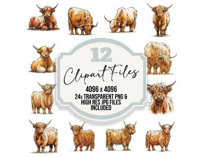 Stylised Highland Cow Clipart Set (DDD014533)