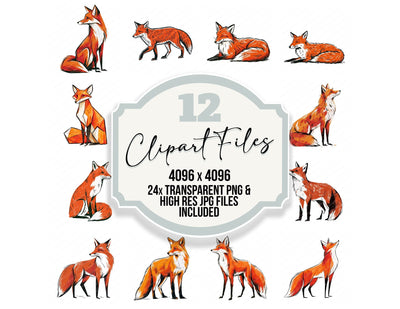 Stylised Red Fox Clipart Set (DDD014536)