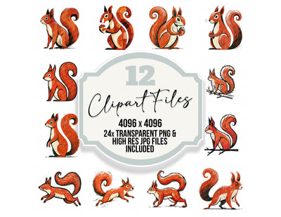 Stylised Red Squirrel Clipart Set (DDD014537)