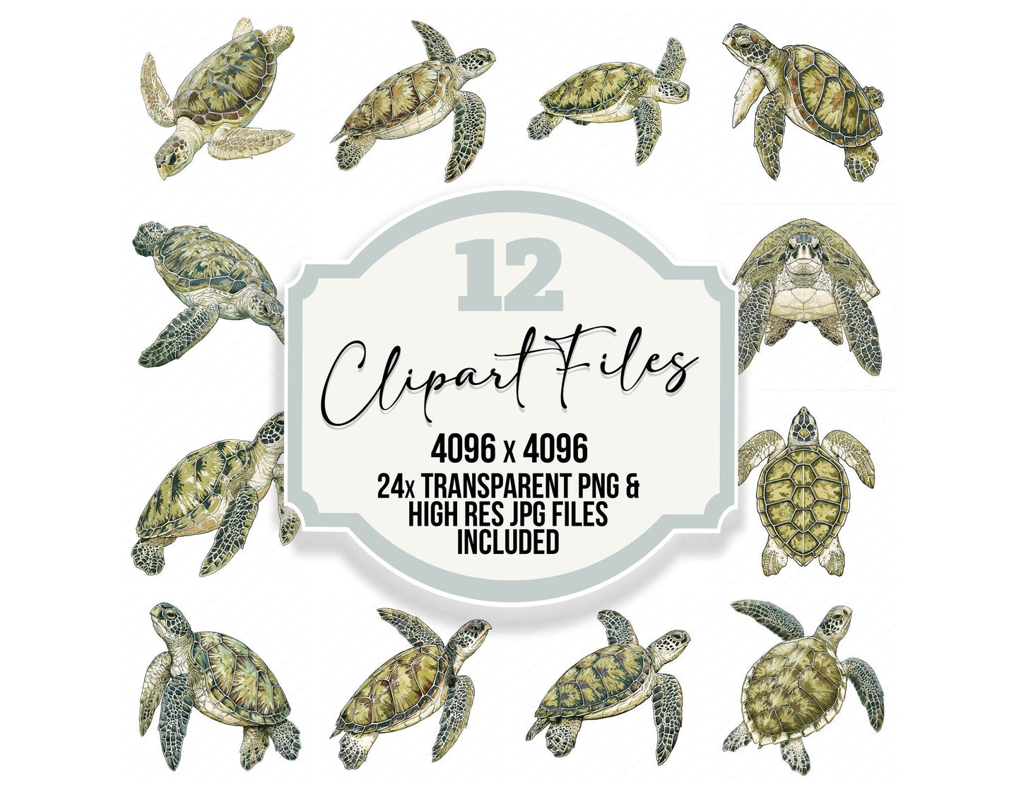 Stylised Sea Turtle Clipart Set (DDD014538)