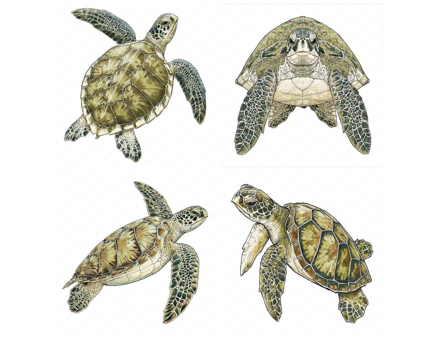 Stylised Sea Turtle Clipart Set (DDD014538)