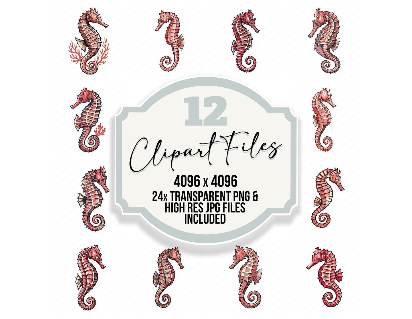 Stylised Seahorse Clipart Set (DDD014539)