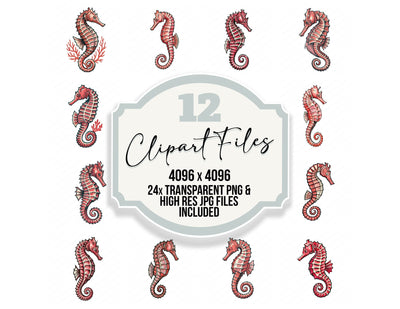 Stylised Seahorse Clipart Set (DDD014539)