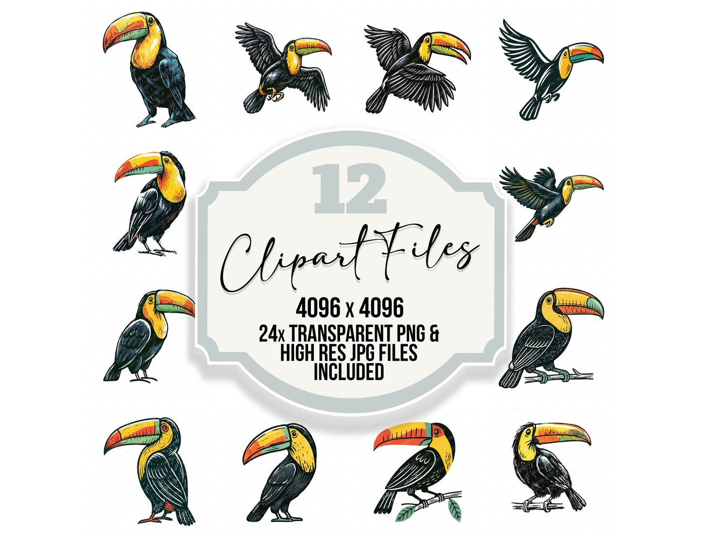 Stylised Toucan Clipart Set (DDD014540)