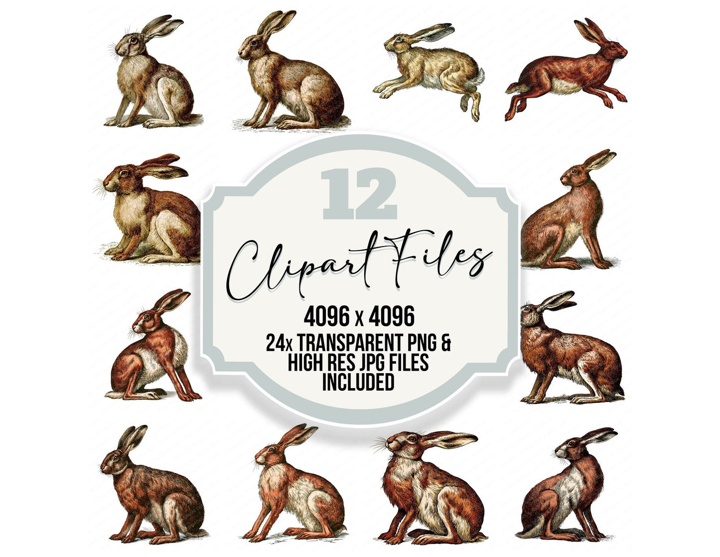 Vintage Hare Clipart Set (DDD014541)