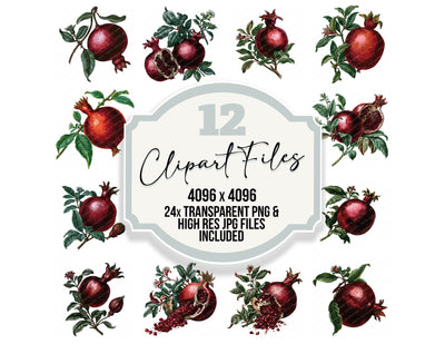 Vintage Pomegranate Clipart Set (DDD014543)