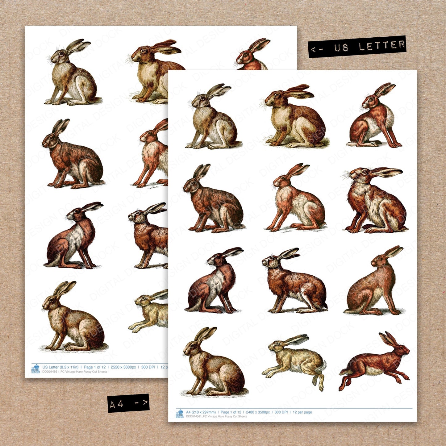 Vintage Hare Fussy Cut Sheets (DDD014561)
