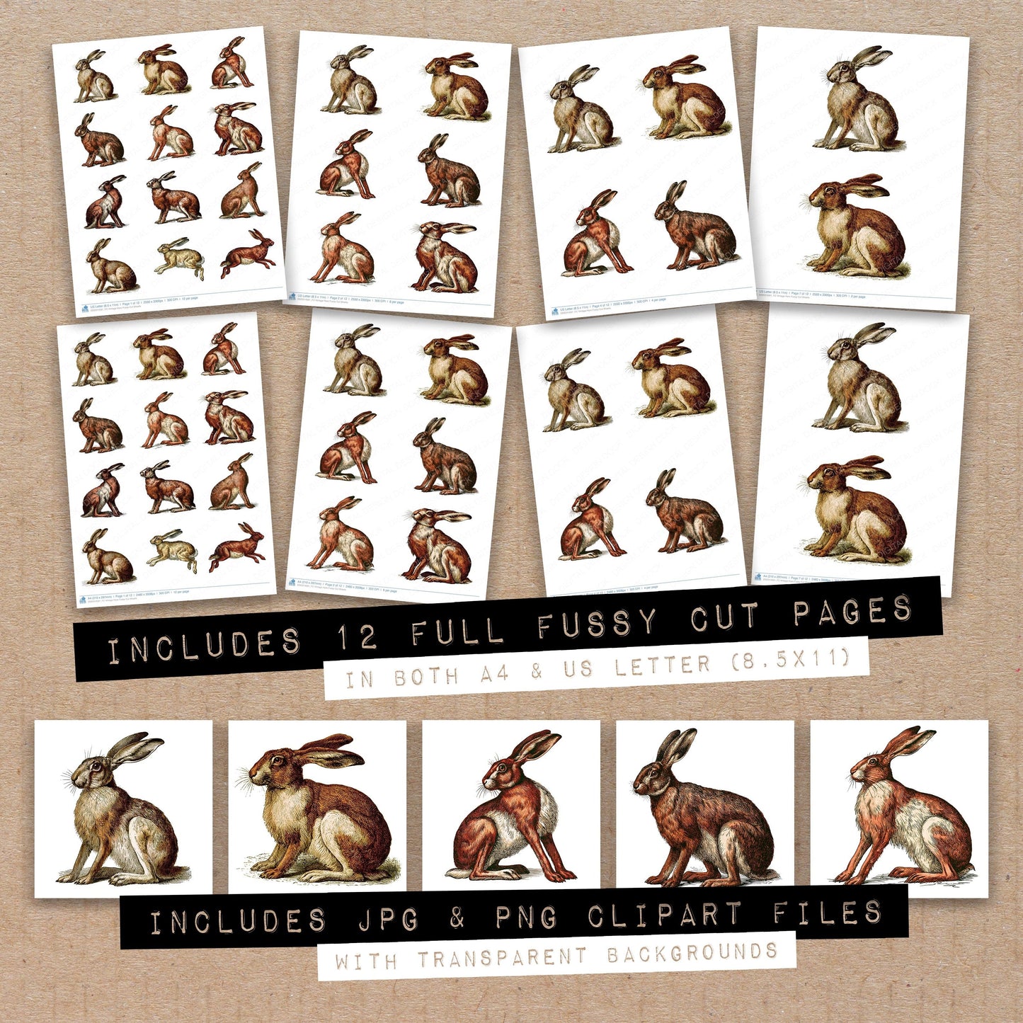 Vintage Hare Fussy Cut Sheets (DDD014561)