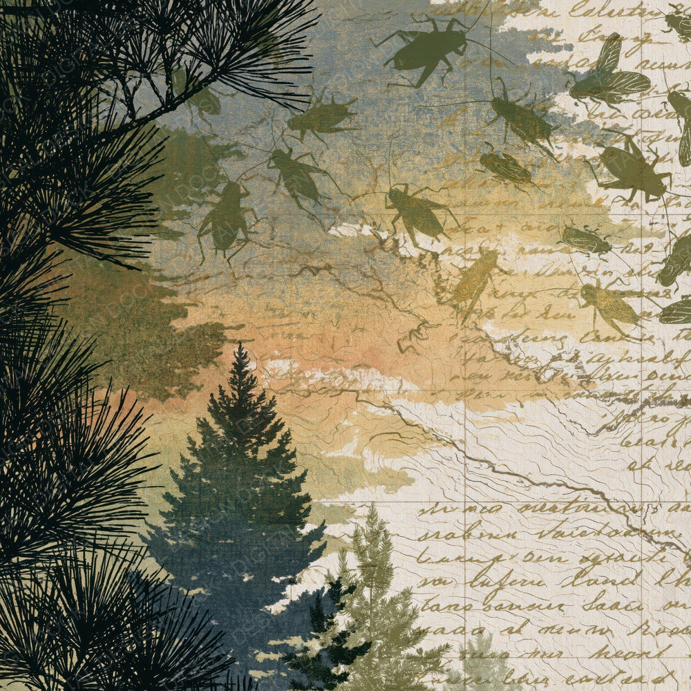 Antique Map Cricket Pine Cream Digital Paper Pack (DDD014745)