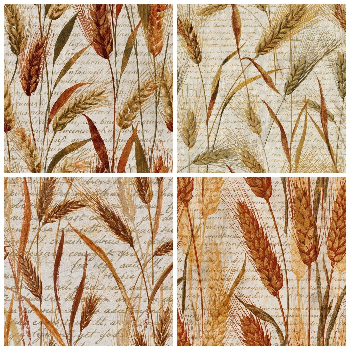 Scientific Wheat Rust Ochre Digital Paper Pack (DDD014900)