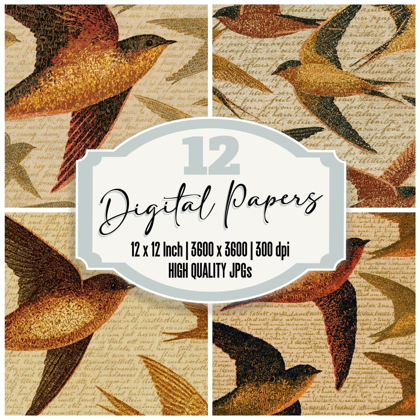 ASCII Swifts Caramel Parchment Digital Paper Pack (DDD015046)