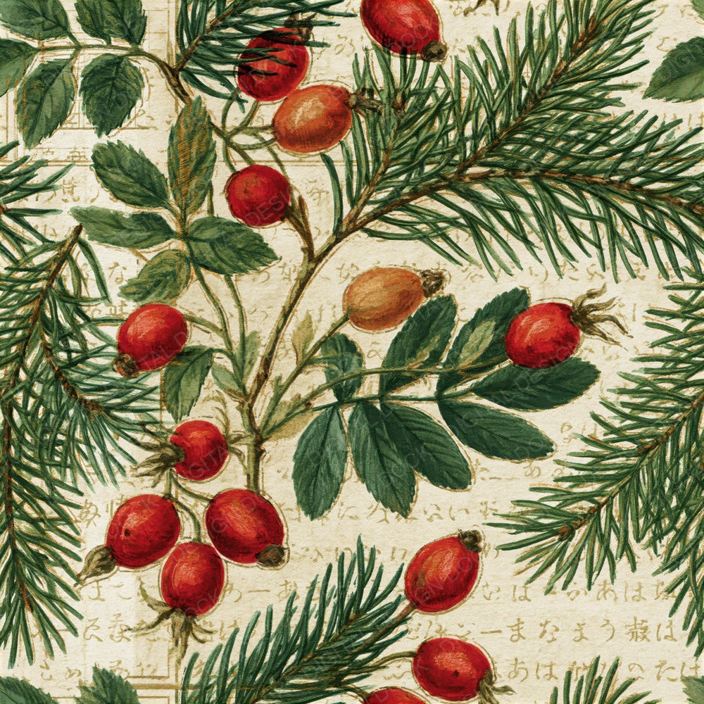 Naturalist Rose Hips Pine Seamless Digital Paper Pack (DDD015634)
