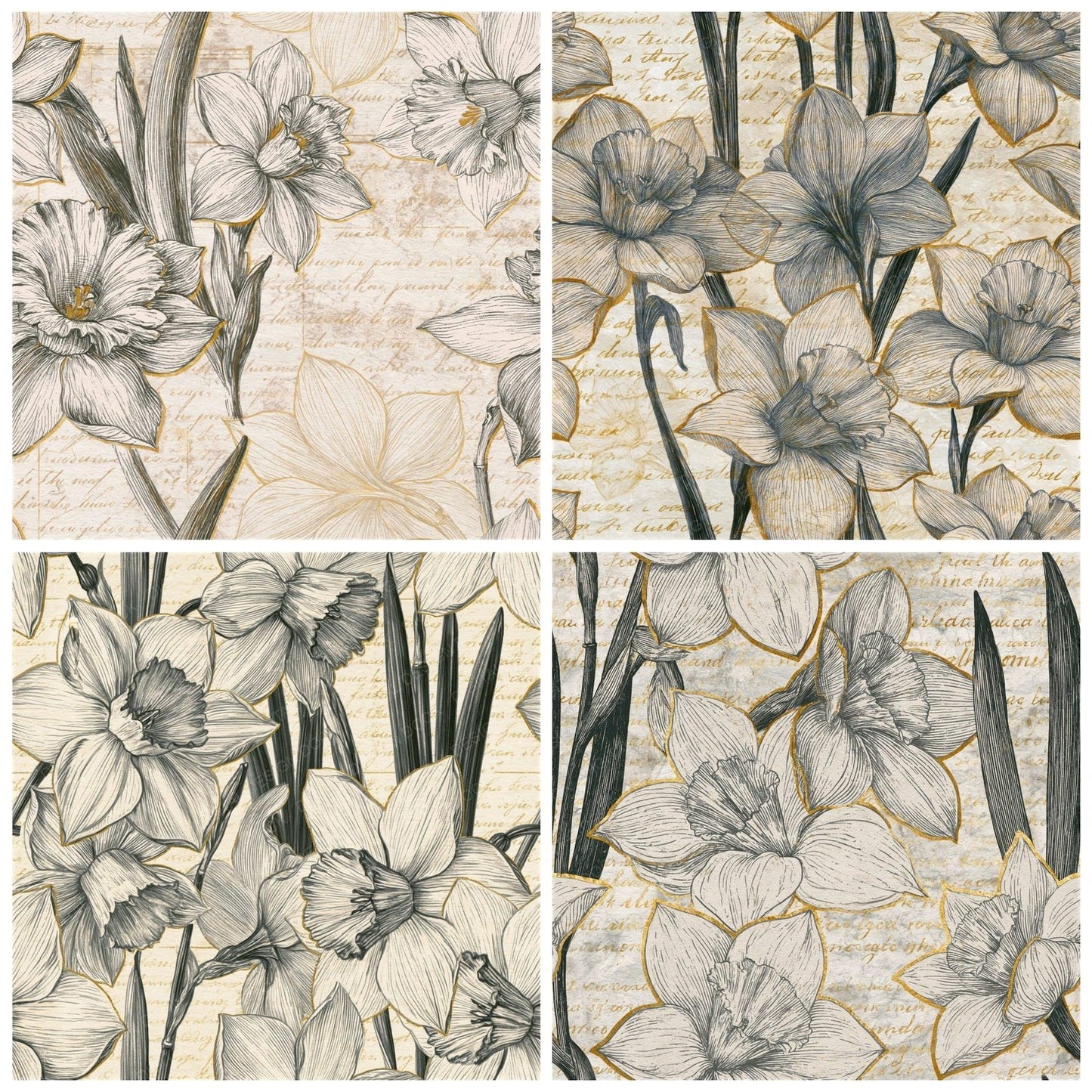 Lithograph Daffodils Graphite Cream Seamless Digital Paper Pack (DDD015829)