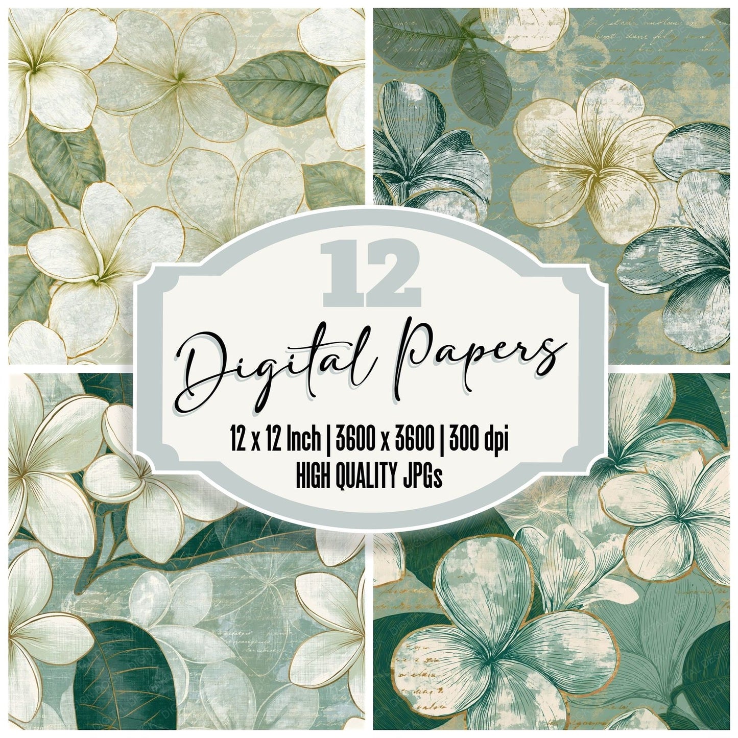 Scientific Frangipani Sage Ivory Seamless Digital Paper Pack (DDD015880)
