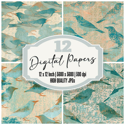 Lithograph Orioles Seafoam Sand Digital Paper Pack (DDD016192)