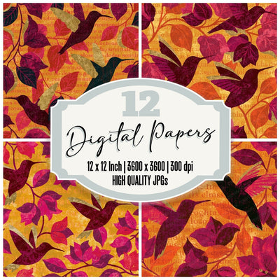 Mexico Hummingbird Bougainvillea Marigold Digital Paper Pack (DDD016335)