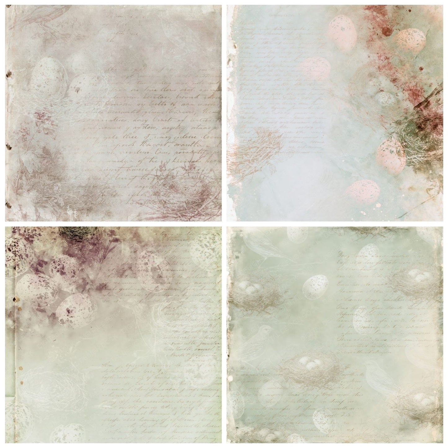 Ornithology Egg Nest Sage Digital Paper Pack (DDD016398)