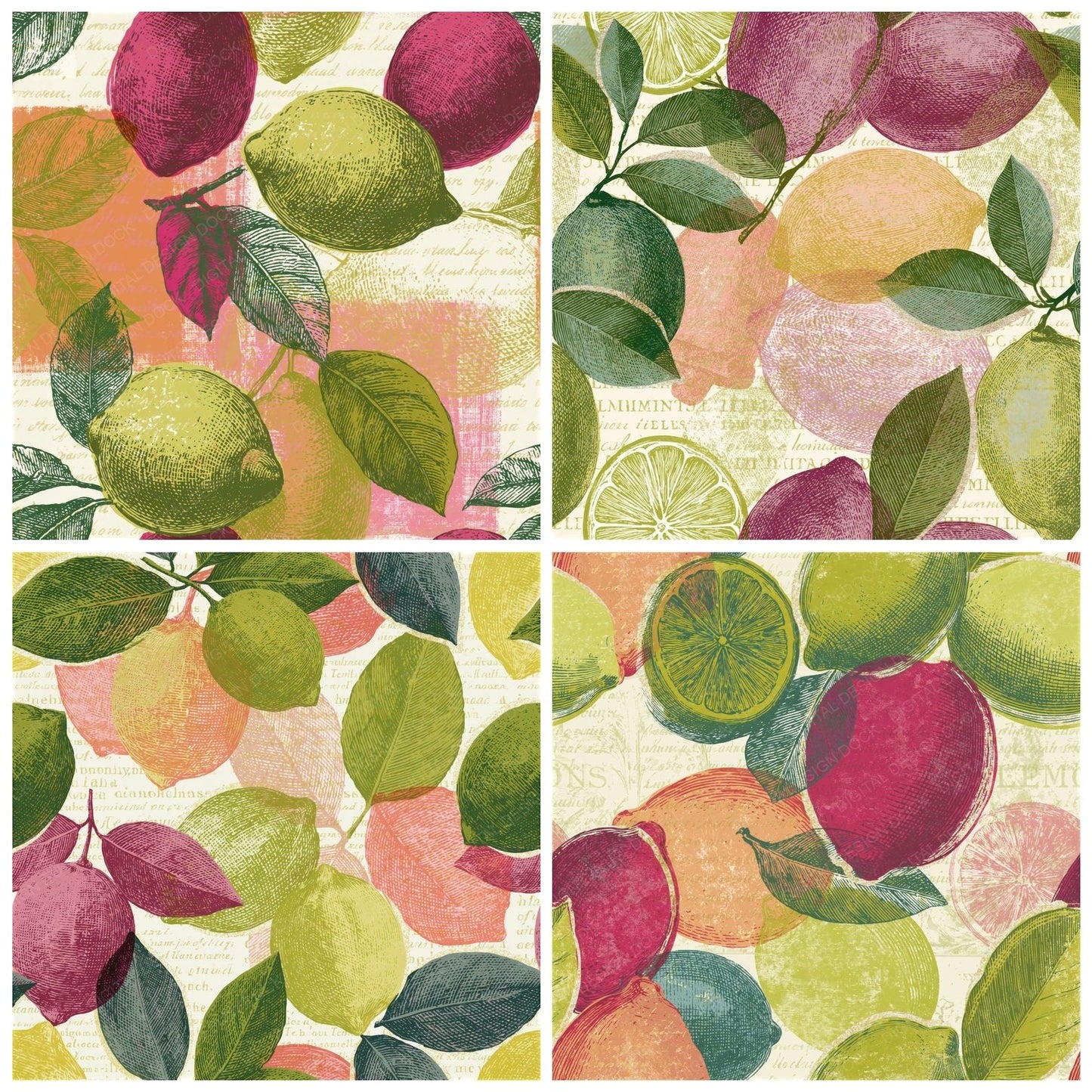 Engraving Citrus Pistachio Raspberry Seamless Digital Paper Pack (DDD016553)