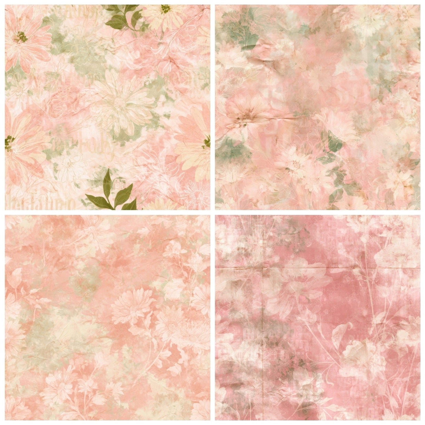Retro Daisy Rose Sage Digital Paper Pack (DDD016808)