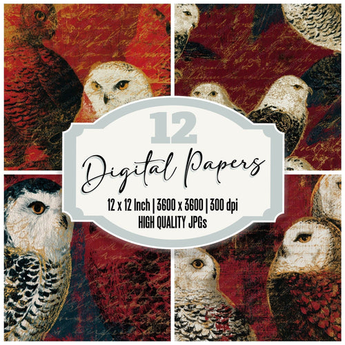Naturalist Snowy Owl Crimson White digital paper pack cover showing four of the 12 papers