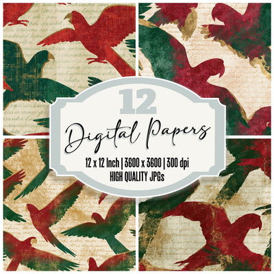 Colour Field Macaws Cranberry Pine digital paper pack cover showing four of the 12 papers