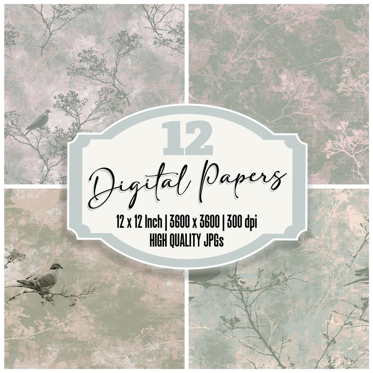 Turtle Dove Bird Dusty Sage Rose Pink Bone Digital Paper Pack (DDD017721)