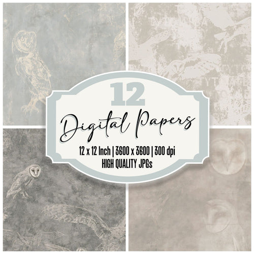 Barn Owl Bird Barn Dusk Grey Face Cream Bone digital paper pack cover showing four of the 12 papers