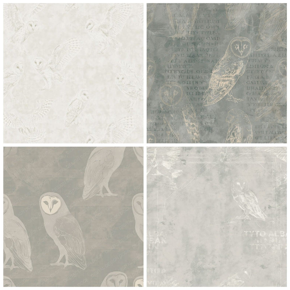 Barn Owl Bird Barn Dusk Grey Face Cream Bone Digital Paper Pack (DDD017846)