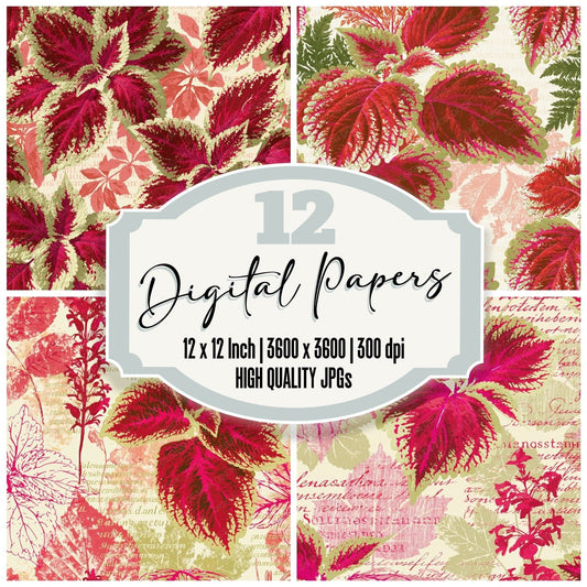 Coleus Multicolour Leaf Garden Cream Crimson Chartreuse Magenta digital paper pack cover showing four of the 12 papers