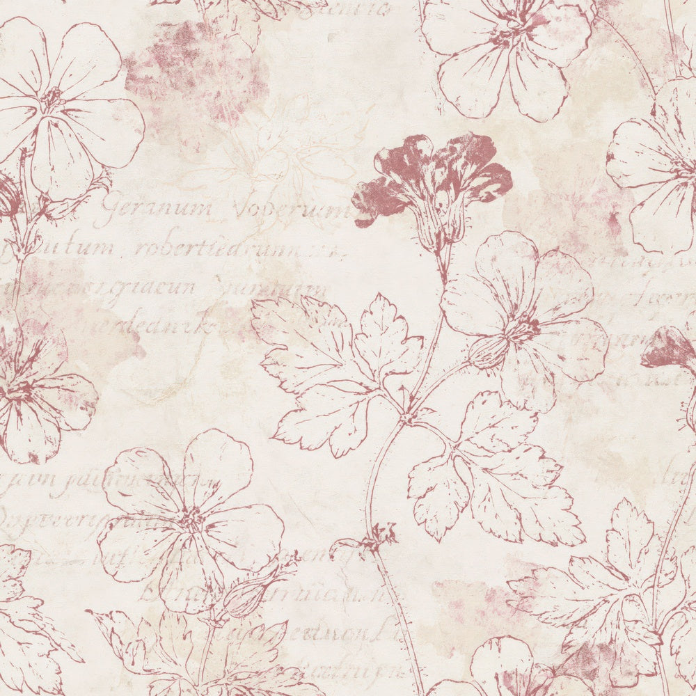 Herb Robert Flower Wall Cream Dusty Pink Bone Digital Paper Pack (DDD018112)