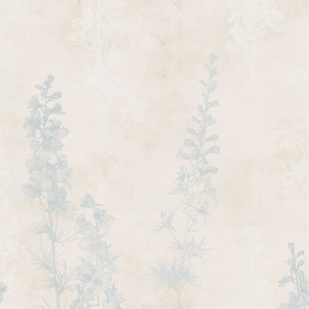 Larkspur Flower Border Cream Dusky Cornflower Bone Digital Paper Pack (DDD018171)