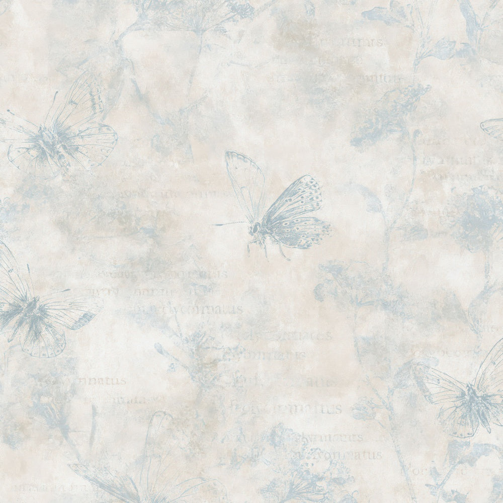 Single Chalkhill Blue Butterfly Insect Chalk Cream Sky Blue Bone digital paper shown full size