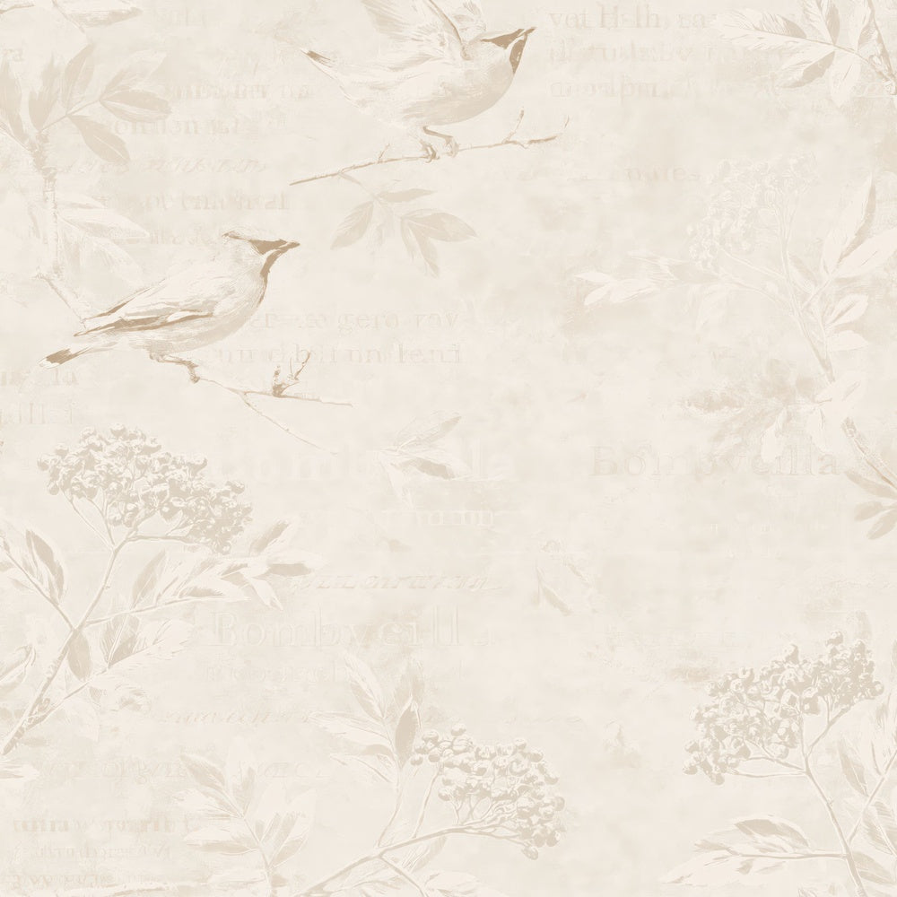 Single Waxwing Bird Winter Cream Cinnamon Crest Bone digital paper shown full size