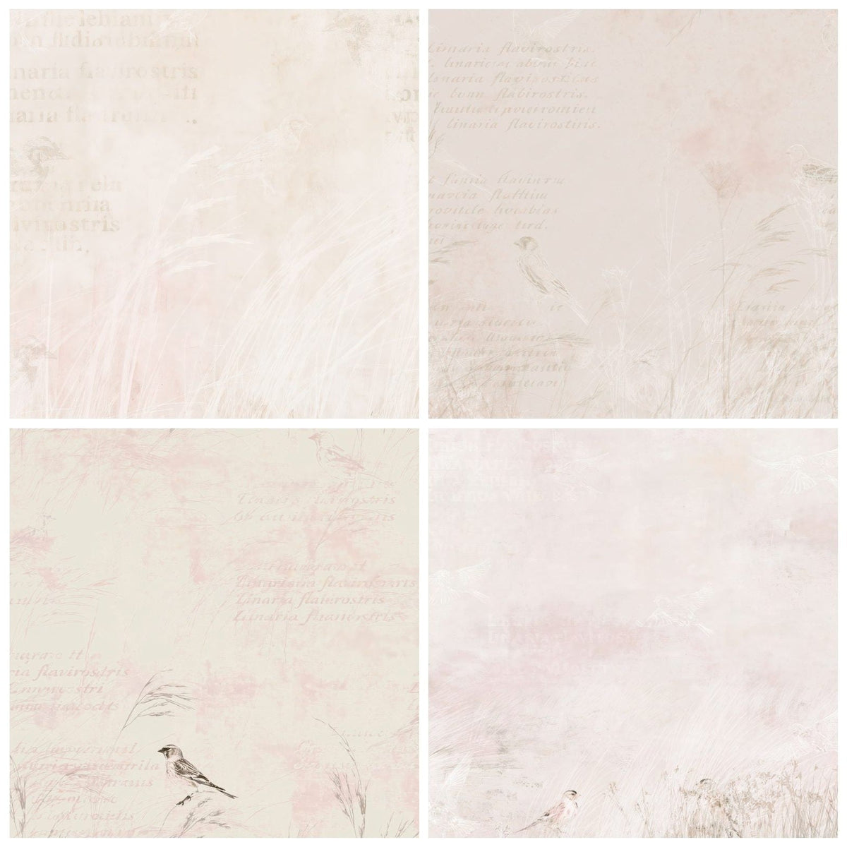 Four more Twite Bird Coastal Cream Pink Rump Bone digital papers from the pack shown in a grid
