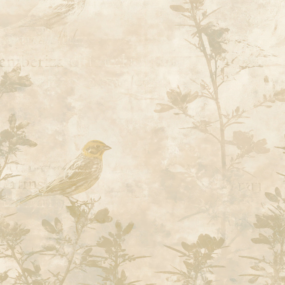 Single Yellowhammer Bird Farmland Cream Buttery Yellow Bone digital paper shown full size