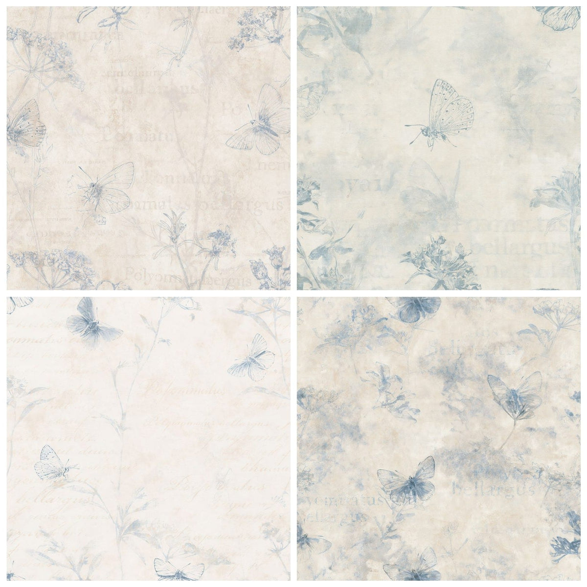 Four Adonis Blue Butterfly Insect Chalk Cream Electric Blue Bone digital papers from the pack shown in a grid