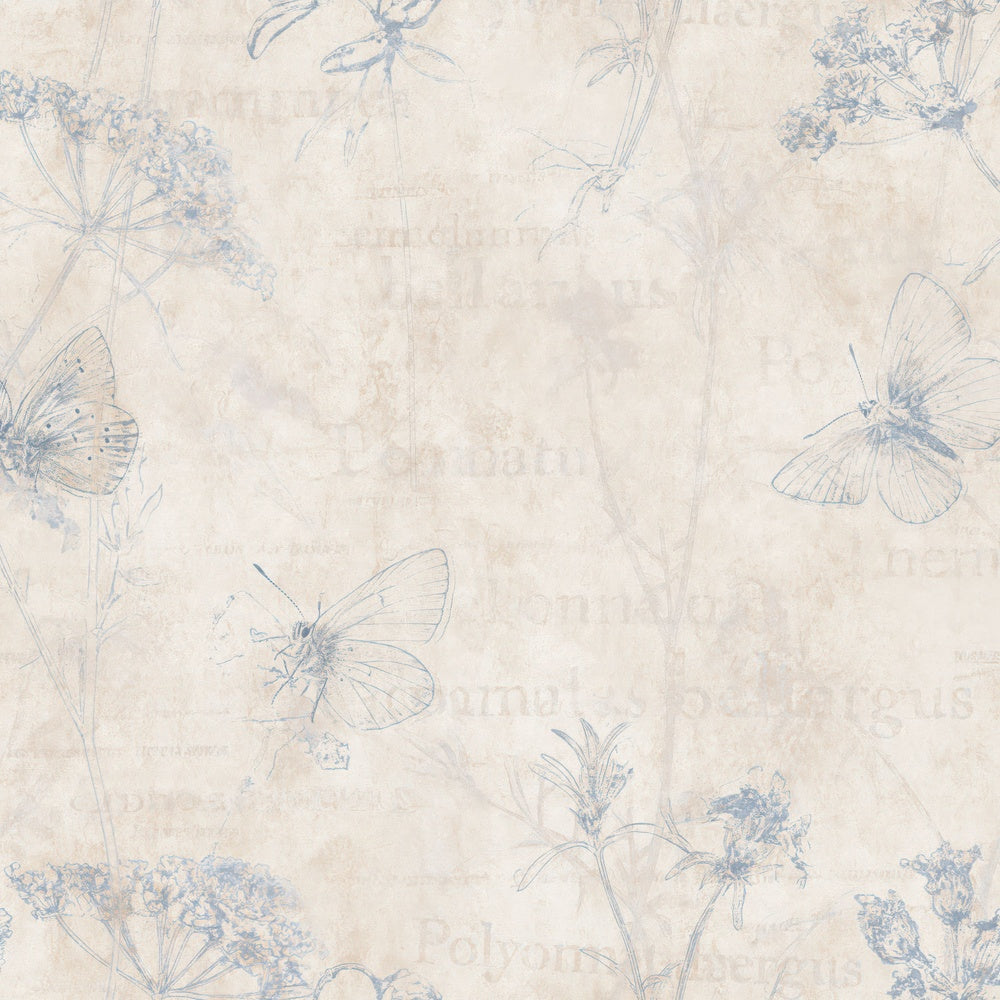 Single Adonis Blue Butterfly Insect Chalk Cream Electric Blue Bone digital paper shown full size