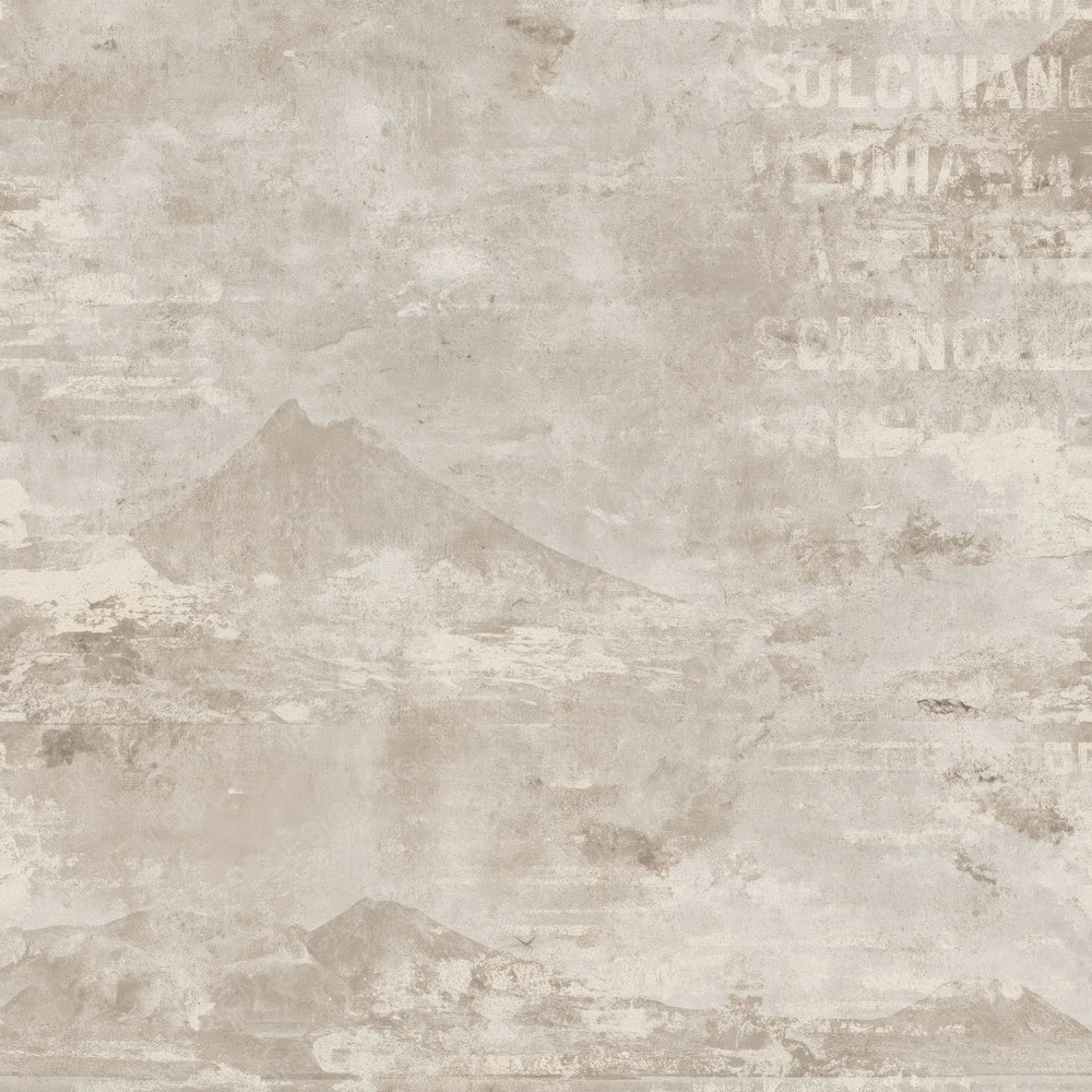 Single Aeolian Islands Volcanic Pumice Grey Aged Basalt Bone digital paper shown full size