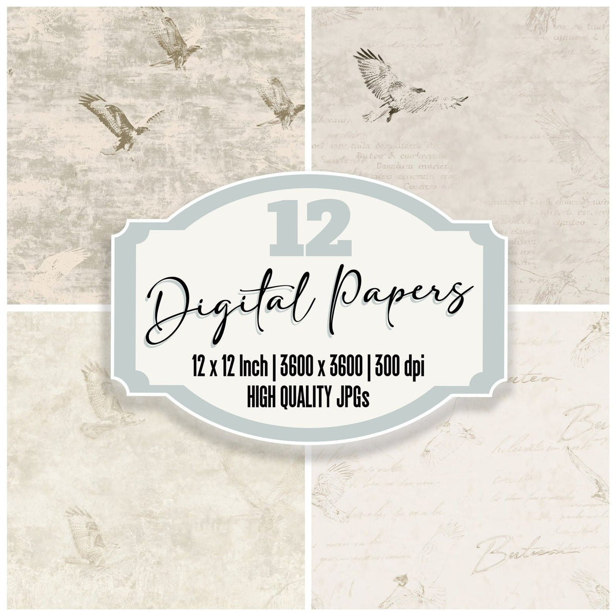 Common Buzzard Bird Pasture Cream Raptor Brown Bone digital paper pack cover showing four of the 12 papers